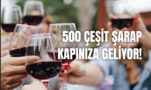 Türkiye’nin en kapsamlı online şarap mağazası artık mobil satış ile sizlerle